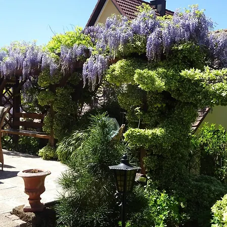 Wassergartenparadies Apartment