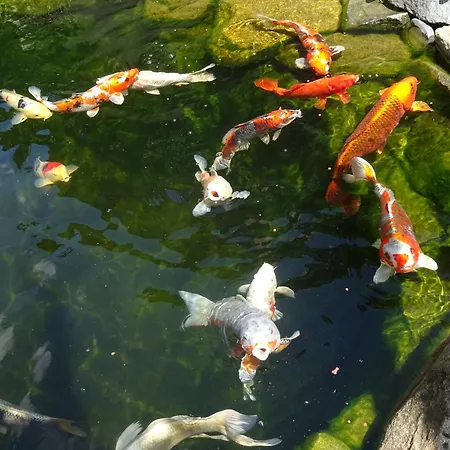 Wassergartenparadies