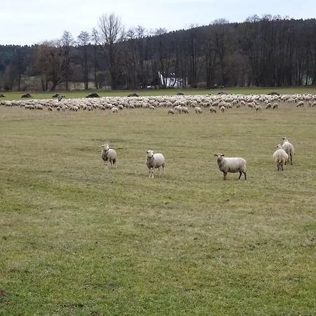 Wassergartenparadies Harsdorf
