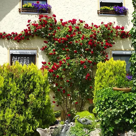 Wassergartenparadies Harsdorf