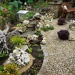 Wassergartenparadies