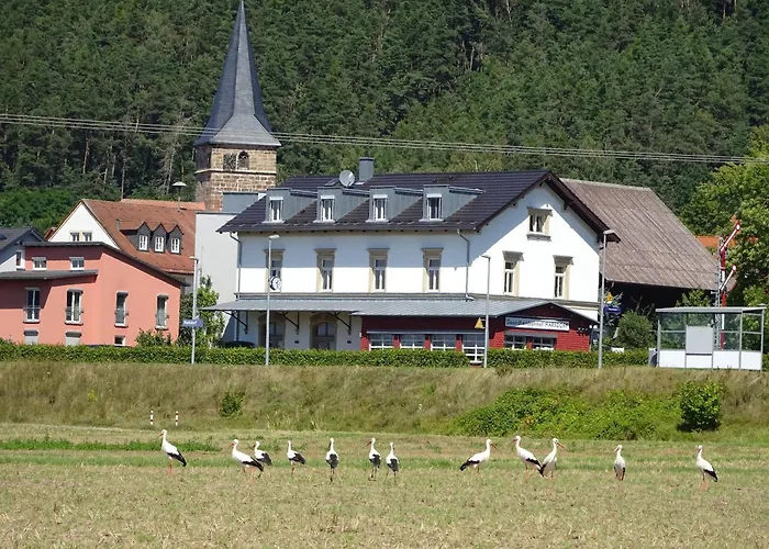 Wassergartenparadies Apartment Harsdorf