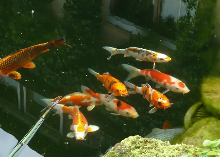 Wassergartenparadies Apartment