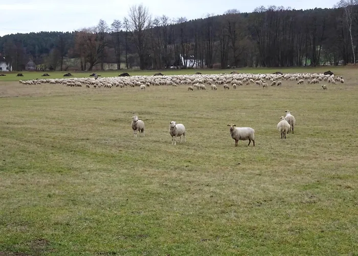 Wassergartenparadies Harsdorf