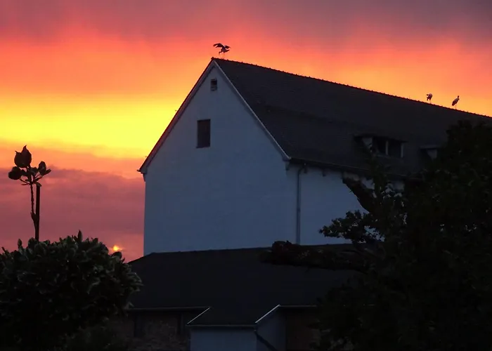 Wassergartenparadies *