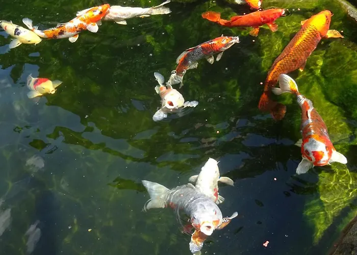 Wassergartenparadies Apartment Harsdorf